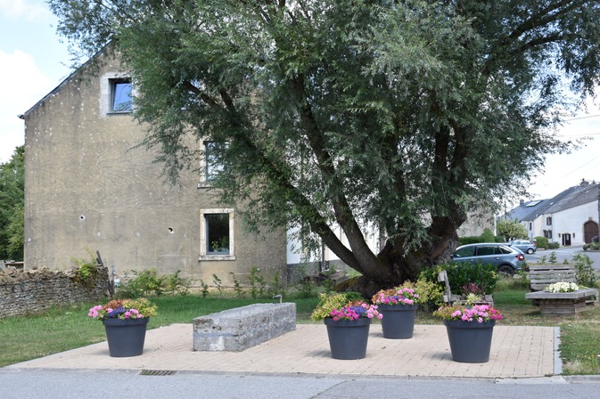 Abreuvoir Saucettes.JPG